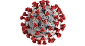 coronavirus model